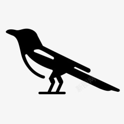 设计癖喜鹊鸟乌鸦科图标高清图片