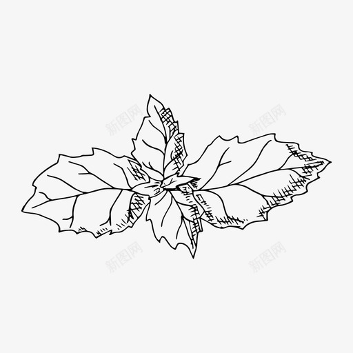罗勒食物手绘图标svg_新图网 https://ixintu.com 手绘 素描 罗勒 食物 香草