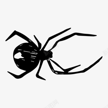 蜘蛛黑寡妇昆虫图标图标