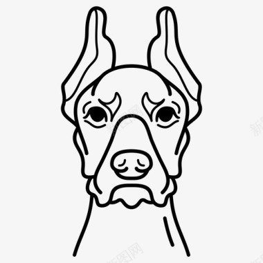 杜宾犬品种狗图标图标