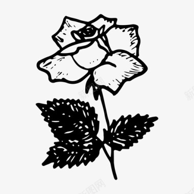 玫瑰花朵手绘图标图标