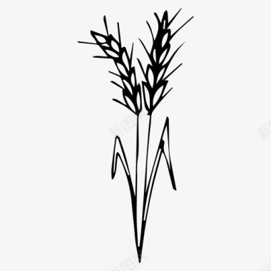 小麦花植物图标图标