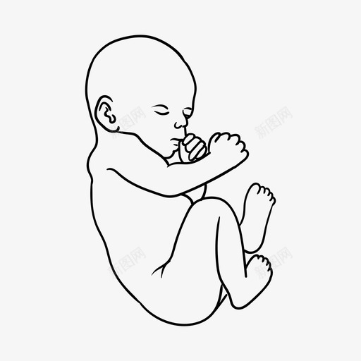 婴儿出生孩子图标svg_新图网 https://ixintu.com 出生 婴儿 孩子 手绘 胎儿