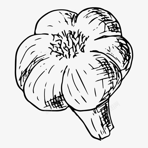 大蒜食物素描图标svg_新图网 https://ixintu.com 大蒜 手绘 素描 蔬菜 食物