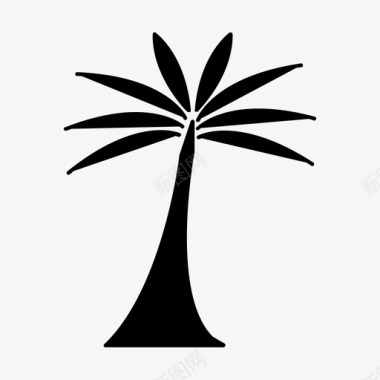 树自然棕榈树图标图标