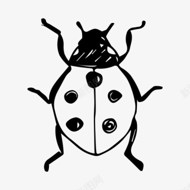 瓢虫昆虫自然图标图标