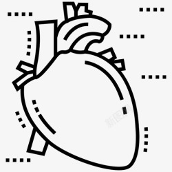 冠状动脉人体心脏生物学人体器官图标高清图片