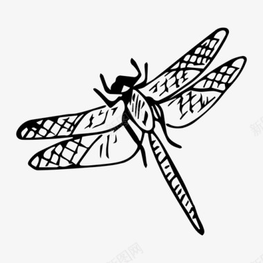 蜻蜓昆虫自然图标图标