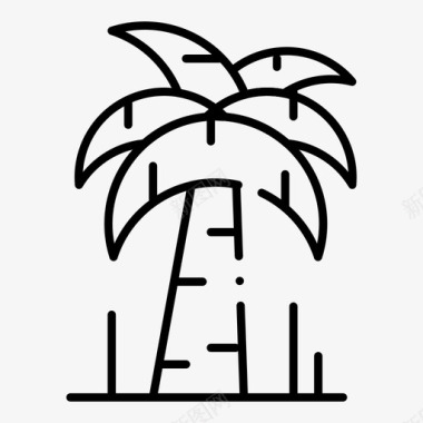 palm巴西tree图标图标