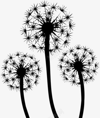 蒲公英花植物图标图标