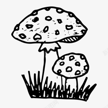 蘑菇鹅膏森林图标图标