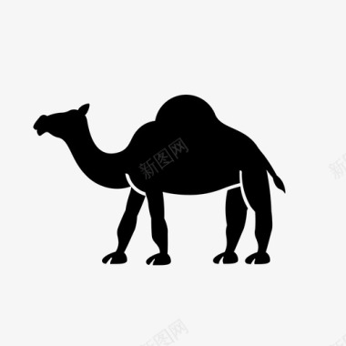 骆驼动物驼峰图标图标