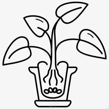 室内植物生物学植物学图标图标