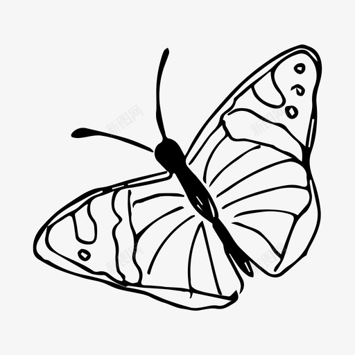 蝴蝶昆虫自然图标svg_新图网 https://ixintu.com 昆虫 素描 自然 蝴蝶