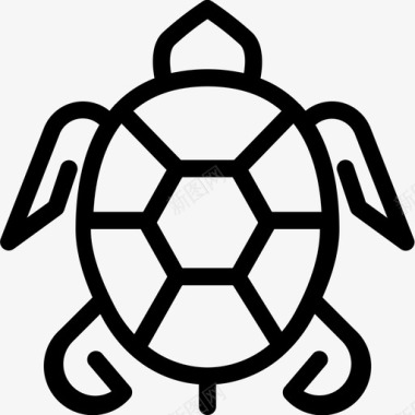 海龟动物暑假行图标图标