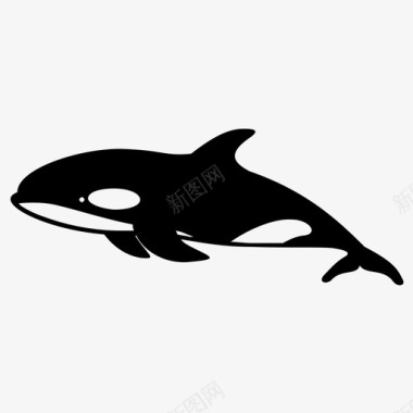 虎鲸动物动物脸图标图标