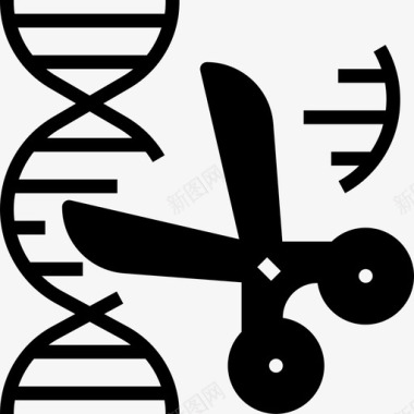 基因遗传学3填充图标图标