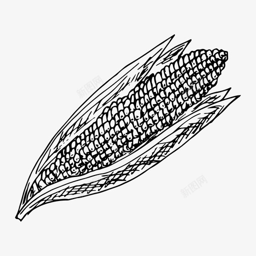 玉米玉米芯食物图标svg_新图网 https://ixintu.com 玉米 素描 蔬菜 食物
