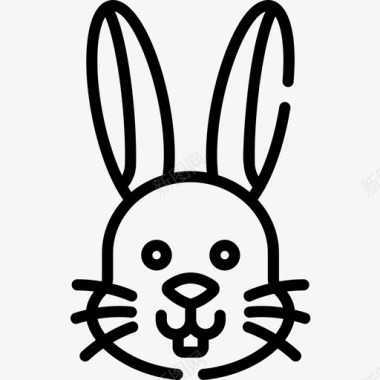 兔子宠物店53直系图标图标