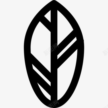贝壳姜叶叶自然图标图标