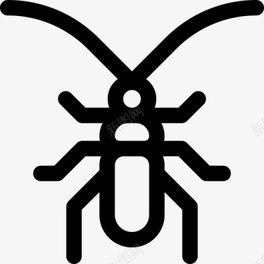 蟑螂昆虫9直系图标图标