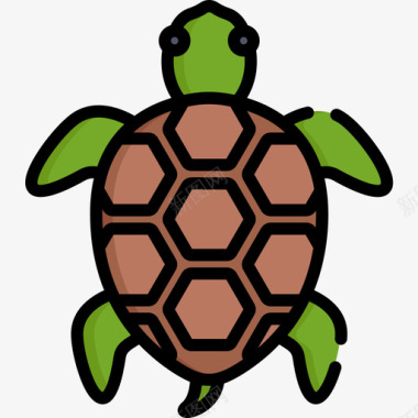 乌龟宠物店54线性颜色图标图标