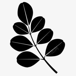 油茶标志辣木叶枝辣木科图标高清图片