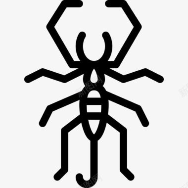 蝎子昆虫11直系图标图标