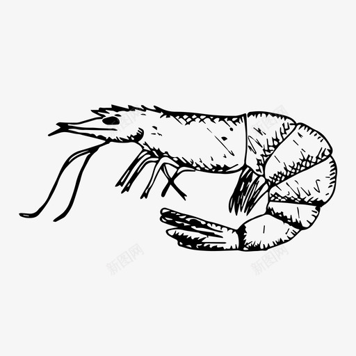 虾食物海鲜图标svg_新图网 https://ixintu.com 海鲜 素描 虾 食物