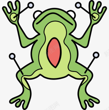青蛙回到学校58彩色图标图标