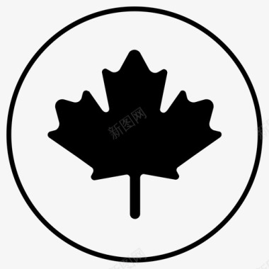 加拿大枫树加拿大国旗图标图标