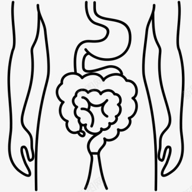 人体肠道解剖学阑尾盲肠图标图标