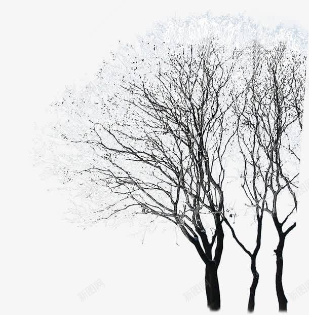 摄影褐色的树木png免抠素材_新图网 https://ixintu.com 摄影 树木 褐色