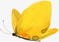 黄色可爱蝴蝶手绘素材