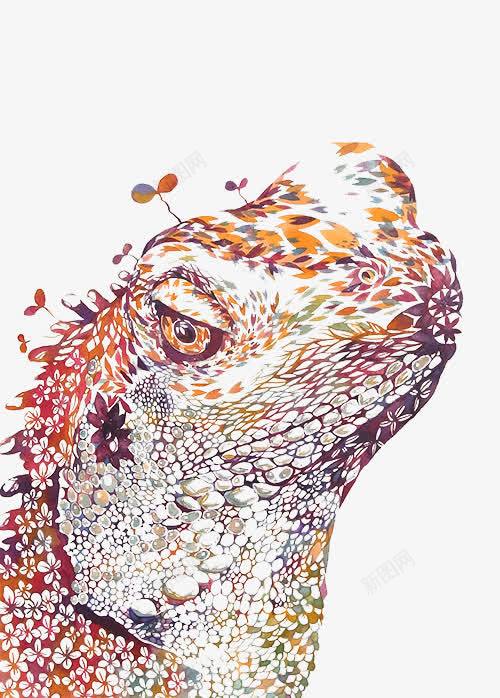 花纹蜥蜴png免抠素材_新图网 https://ixintu.com 彩色 花纹 蜥蜴 装饰