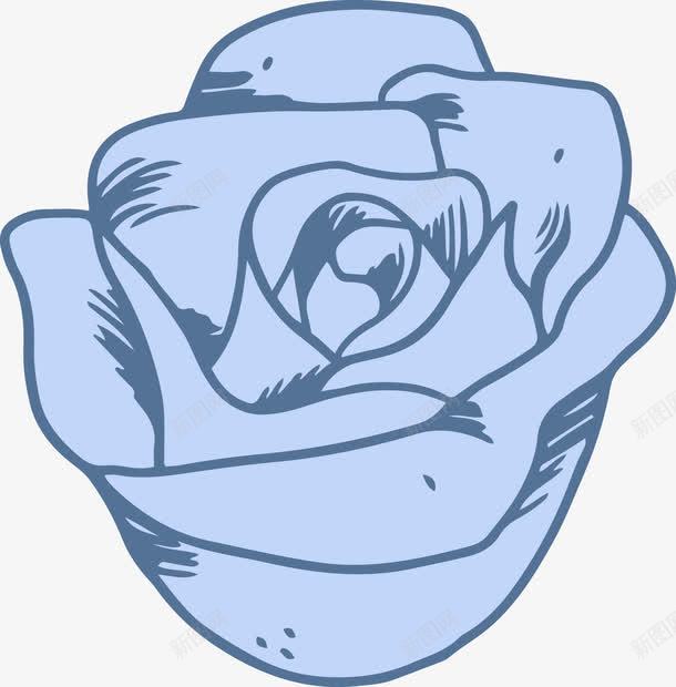 蓝色玫瑰花png免抠素材_新图网 https://ixintu.com 玫瑰 玫瑰花 矢量玫瑰花 矢量花朵 花 花朵 蓝色 香槟色玫瑰 鲜花