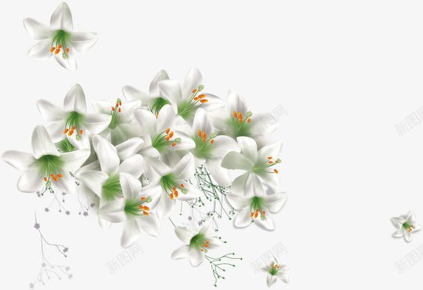 白色梦幻花朵植物png免抠素材_新图网 https://ixintu.com 梦幻 植物 白色 花朵