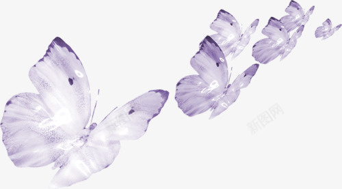 紫蝴蝶png免抠素材_新图网 https://ixintu.com 白色 紫色 蝴蝶