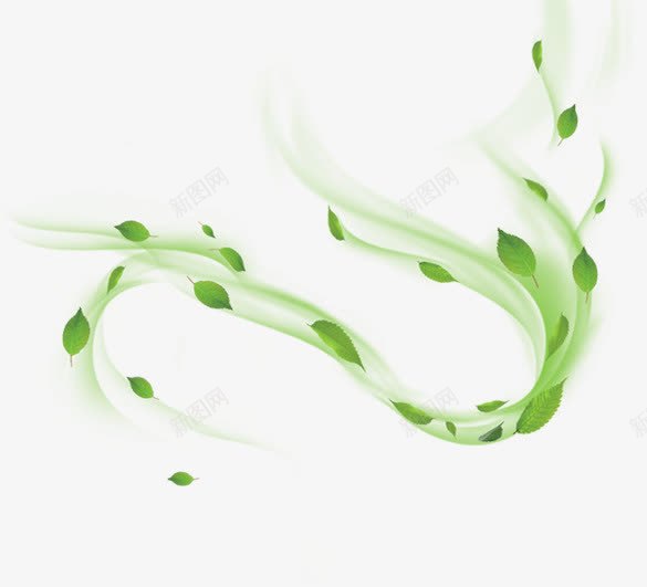 白色线条植物树叶png免抠素材_新图网 https://ixintu.com 树叶 植物 白色 线条
