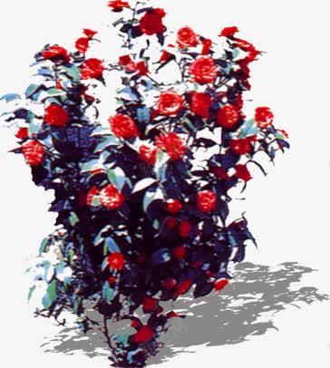 红色梦幻花朵植物装饰png免抠素材_新图网 https://ixintu.com 梦幻 植物 红色 花朵 装饰