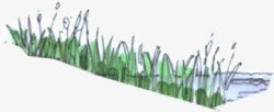 沼泽植物手绘绿色沼泽植物高清图片