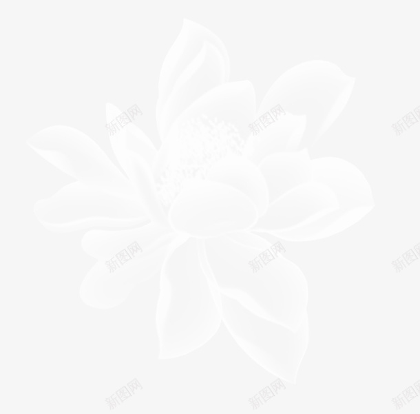 透明白色花png免抠素材_新图网 https://ixintu.com 元素 白色 花 透明 透明花