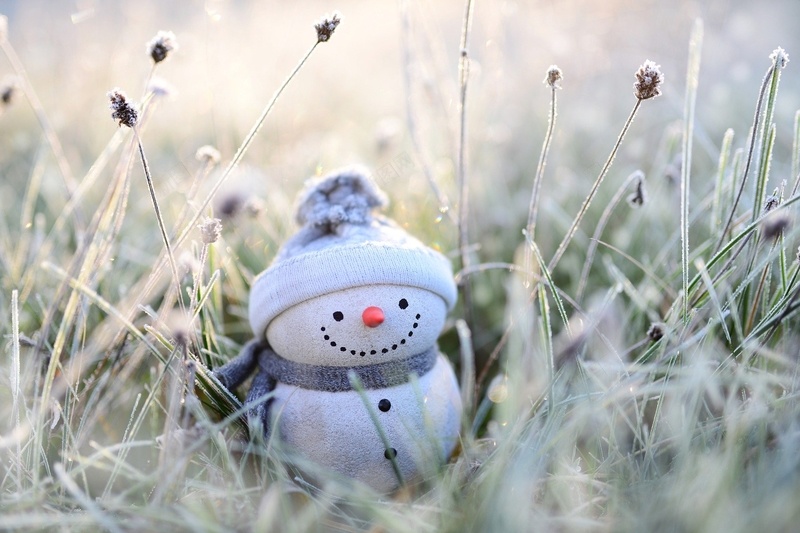 冬季雪人围巾jpg设计背景_新图网 https://ixintu.com 冬季 植物 雪人 霜花