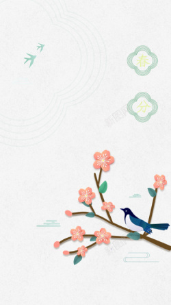 桃花和鸟春分花朵桃花鸟春天高清图片