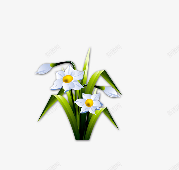 白色花朵png免抠素材_新图网 https://ixintu.com 叶子 白色 花朵 草