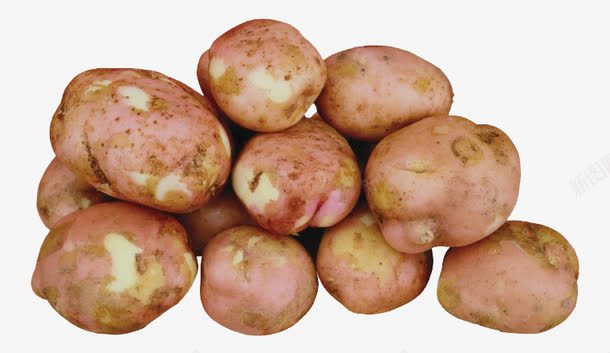 新鲜好吃的土豆png免抠素材_新图网 https://ixintu.com 产品实物 免费png素材 时令蔬菜 绿色食品 马铃薯
