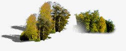 黄色树林景观装饰png免抠素材_新图网 https://ixintu.com 景观 树林 装饰 黄色