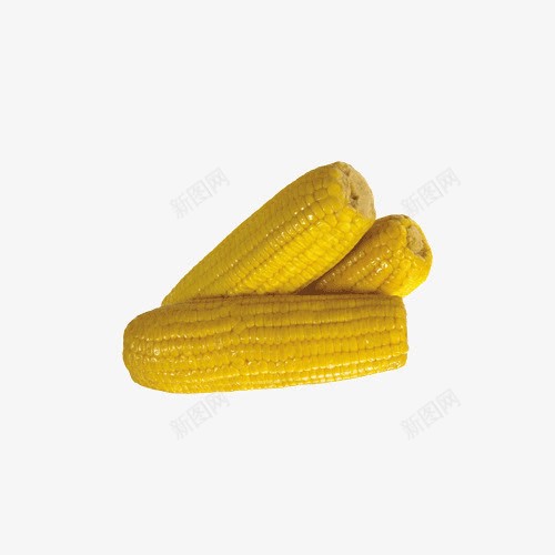三只甜玉米透明背景png免抠素材_新图网 https://ixintu.com 玉米 美食 食物 黄色