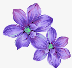 紫色花朵图案素材