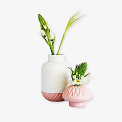 室内装饰植物花瓶盆栽植物室内装饰鲜花高清图片